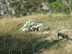 Setzt man den Rundgang fort, kommt man zu einer Gedenkstätte für einen tödlich verunglückten Jugendlichen.