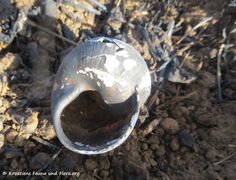 190224 0204 Nin k.jpg