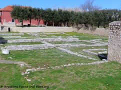 Ruinen der mittelalterlichen Siedlung