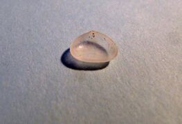 Innenseite, Vir 09/2010