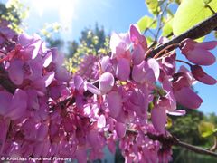 Zračna luka Zadar-Zaton 04/2018