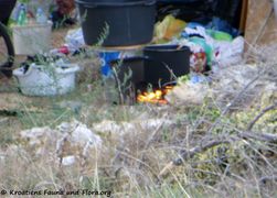 190824 1386 Dusko k.jpg