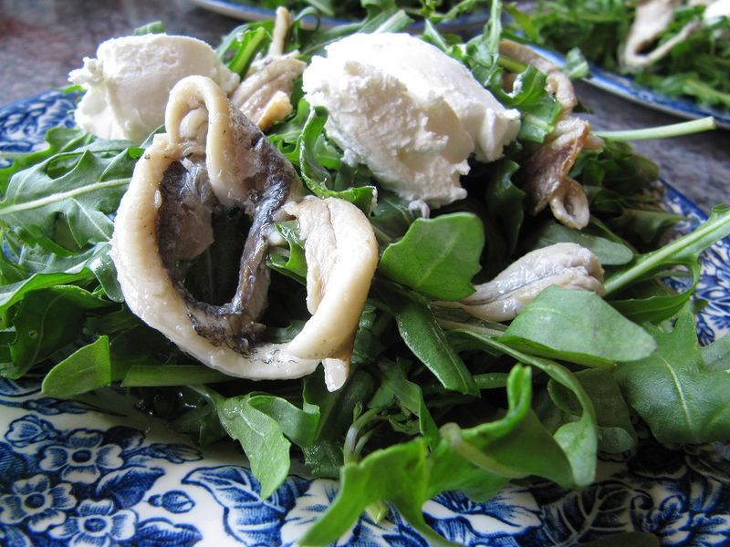 Datei:Sardelle 110521.jpg