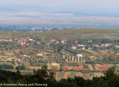 Blick Richtung Dobra Voda