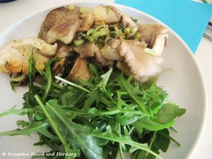 Austernpilze 170411 7088 k.jpg