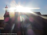 171127 10143 txt.jpg