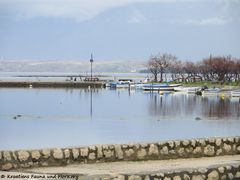 180405 11834 txt.jpg