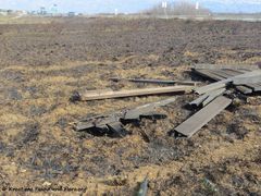 190224 0205 Nin k.jpg