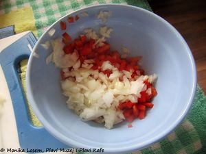 Zwiebelsenf 160723 9059 k.jpg