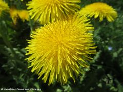 Odmorište Draganić 04/2018