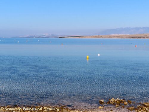 211028 Sommer im Oktober 1.jpg