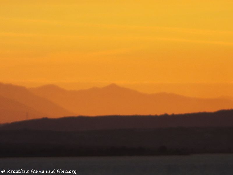 Datei:190120 0033 k.jpg