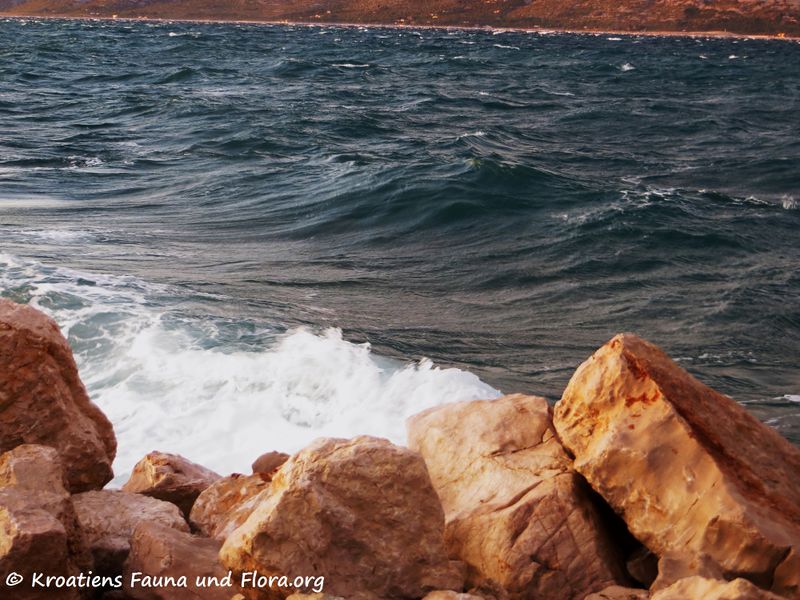 Datei:191003 1700 k.jpg