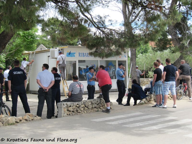 Datei:140530 3777 Vir Ribarnica Luka k.jpg