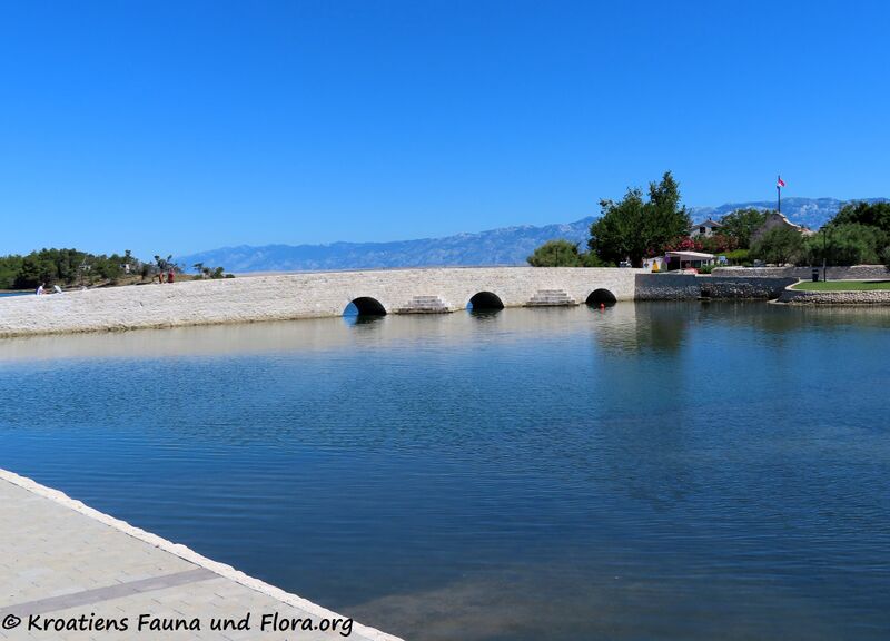 Datei:200708 1037.JPG