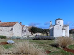 Crkva Sv. Križa in Nin