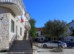 Der Dorfplatz, 09/2018