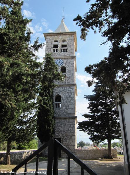 Datei:120531 807 Zaton txt.jpg