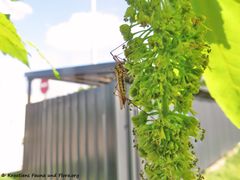 Odmorište Draganić 04/2018