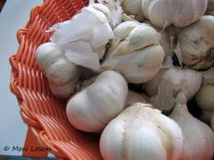 Koblauch, Markt in Benkovac 09/2015