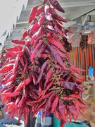 Getrocknete Chili, Murnau – D 09/2011