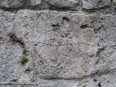 Wandverzierung 05/2016