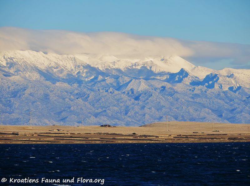 Datei:190111 008 k.jpg