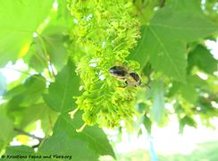 Odmorište Draganić 04/2018