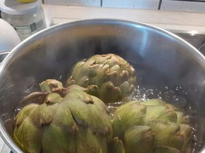 Artischocke 240416 7542 a.jpg