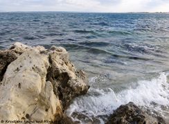 180108 10192 txt.jpg