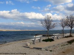 180108 10188 txt.jpg