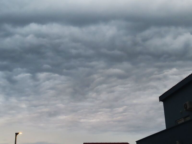 Datei:260413 8248.JPG