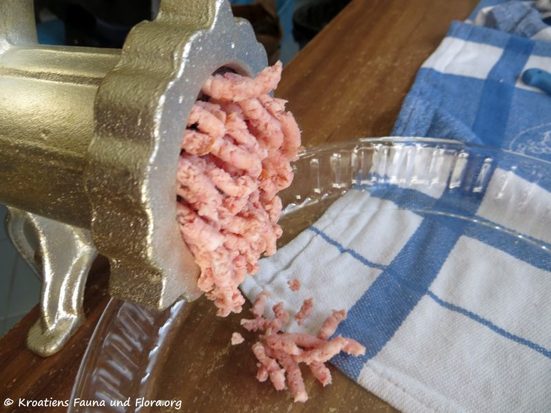 Datei:180307 11109 txt.jpg