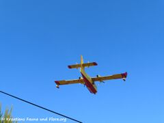 220711 2885 Kanader.jpg