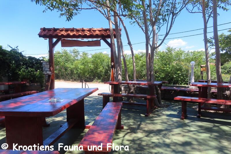 Datei:240601 8019.JPG