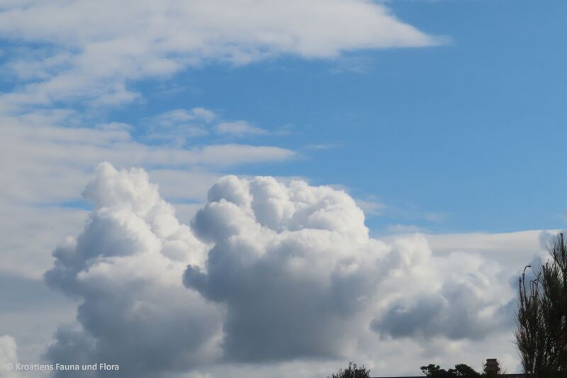 Datei:240212 4717.jpg