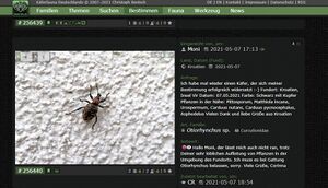 210507 2154 D Bestimmung.jpg