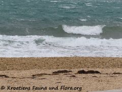 05.11.2022 - Der Staffelstab wird übergeben