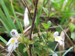 Windischgarsten 10/2015