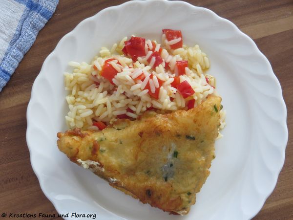 180423 12764 Dorade txt.jpg