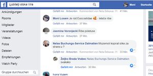 Erlaubnis Fliegender Fisch.jpg