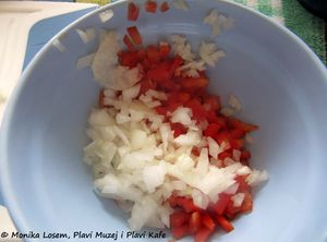 Zwiebelsenf 160723 9058 k.jpg