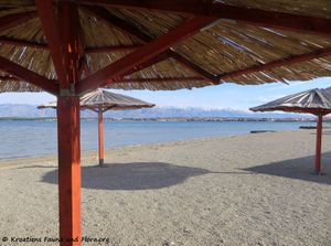 190105 001 Ždrijac k.jpg