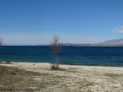 14.03.2019 - Kommt jetzt der Sommer?