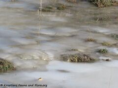 14.02.2021 - Stormchaser Barry gibt alles auf der vereisten Insel Pag