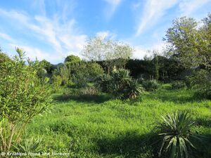 Islam Grčki 171026 9682 k.jpg