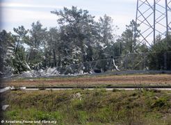 190224 0211 Zaton k.jpg