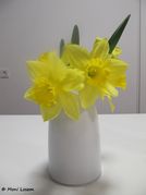 Blüten Cultivar, Pfaffenhofen 01/2012