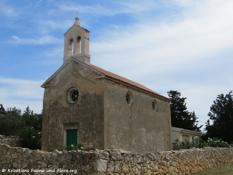 Datei:180913 14670 Lun k.jpg