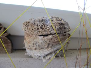 ChamGry Sab 120804 721.jpg